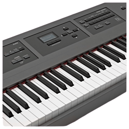 פסנתר חשמלי Dexibell VIVO P7