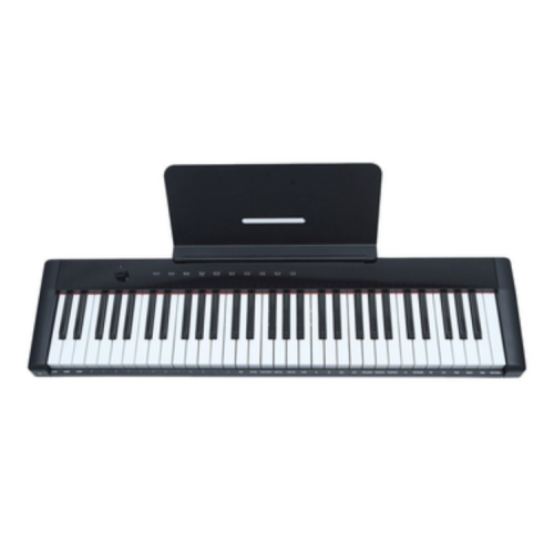 פסנתר חשמלי נטען PEARL RIVER M2