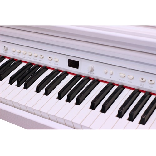 פסנתר חשמלי Ringway TG8852 White