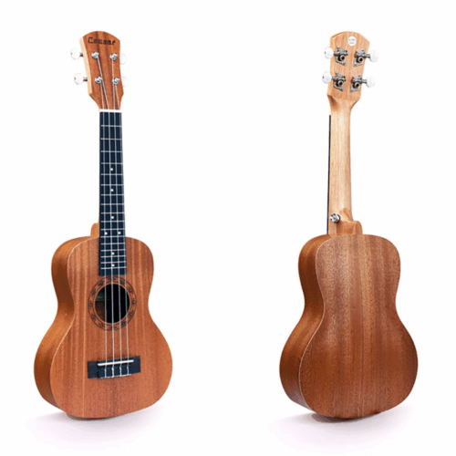 ⁦יוקלילי בצבע חום טבעי מט Tokai UK 21M⁩ – תמונה ⁦4⁩